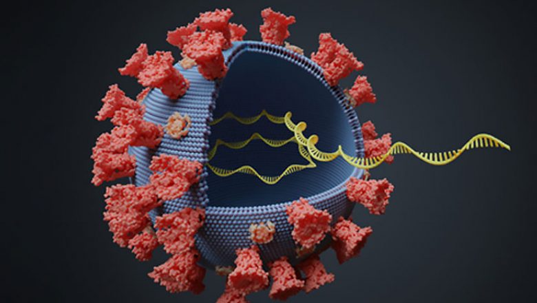 खोटाङ बन्यो कोरोना भाइरस (कोभिड–१९)  संक्रमण मुक्त जिल्ला