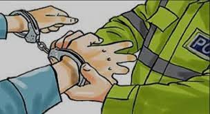 नक्कली लालपूर्जा देखाएर ३३ लाख ठगी गर्ने ओखलढुंगाका एकजना पक्राउ