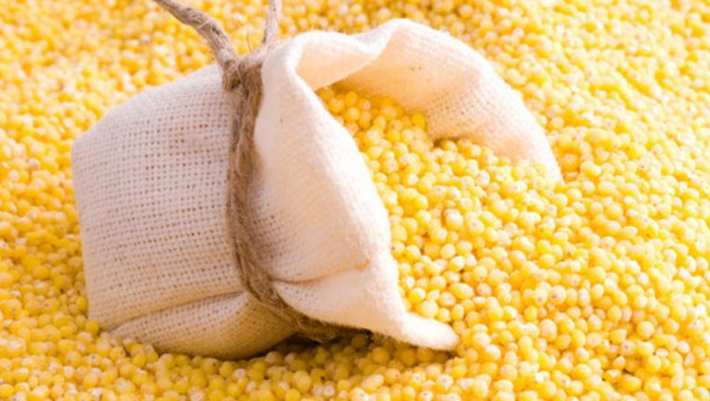 वराहपोखरीका किसानलाई निःशुल्क उन्नत जातको मकैको बिउ वितरण