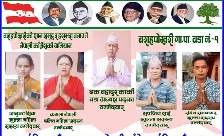 वराहपोखरी–१ मा एमालेको किल्ला तोडियो, कांग्रेसको प्यानल नै विजयी