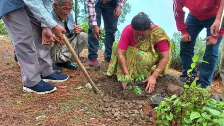 सामुदायिक वन उपभोक्ता महासंघको स्थापना दिवस : हलेसी र दिक्तेलमा वृक्षरोपण