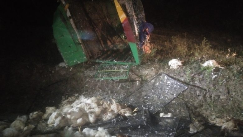 हिलेपानीमा कुखुरा बोक्ने गाडी दुर्घटना हुँदा दुई जना घाइते