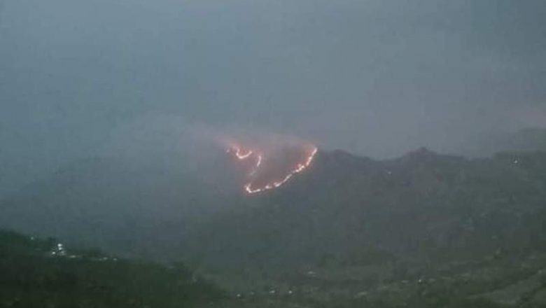 डुम्रेधारापानीको कालिका भगवती वनमा भीषण डढेलो, चार गाउँ जोखिममा