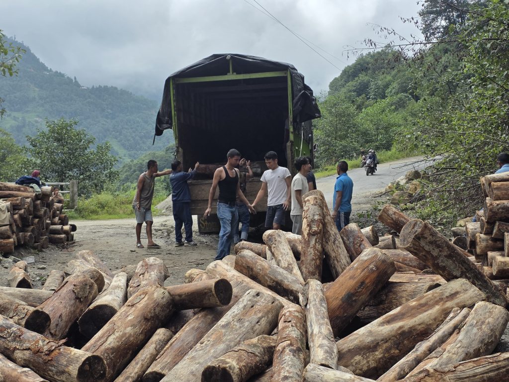 खोटाङमा चार ट्रक उत्तिसको काठ बरामद