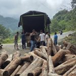 खोटाङमा चार ट्रक उत्तिसको काठ बरामद